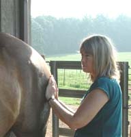 Florence Gans of PathMakers, Inc. doing HTA on one of her horse clients, Beau, who lives at Blair Cee Stables in Raleigh NC.